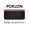 Poklon Dyson kutija